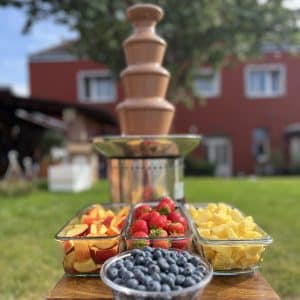 Čokoládová fontána s ovocem (jahody 500g, ananas 500g, banán 500g, jablko 500g)